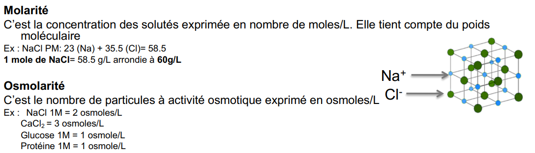 Capture.PNG