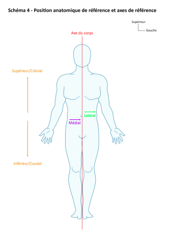Capture d’écran 2025-04-19 à 19.33.00.png