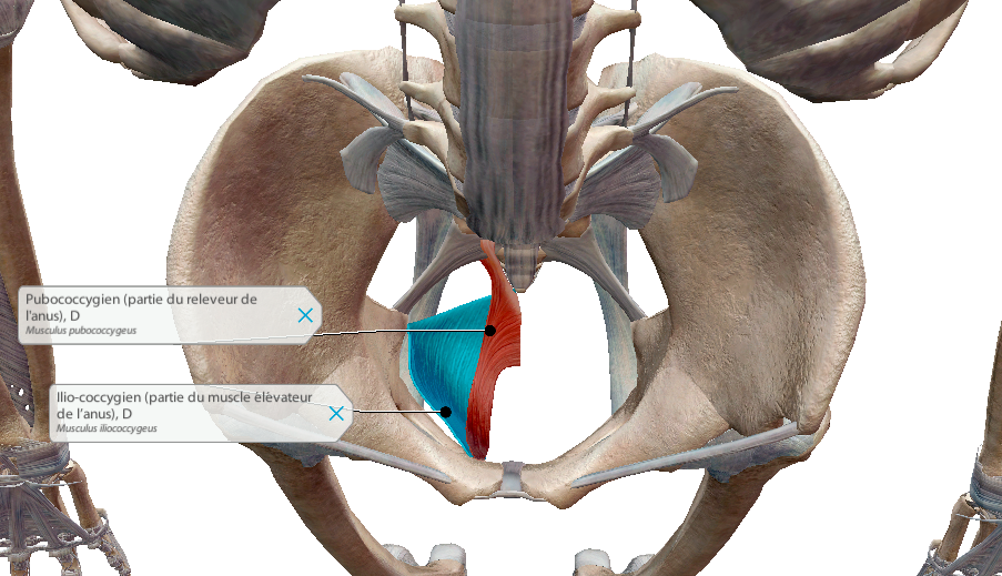 Capture d’écran 2025-04-20 à 18.30.12.png