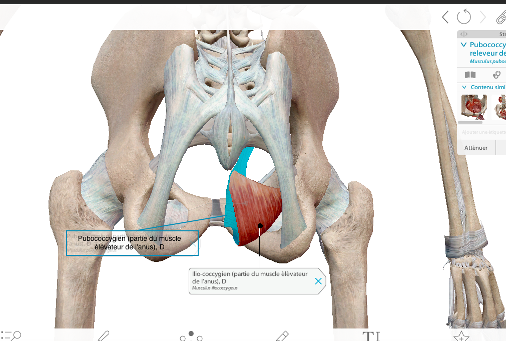 Capture d’écran 2025-04-20 à 18.32.56.png