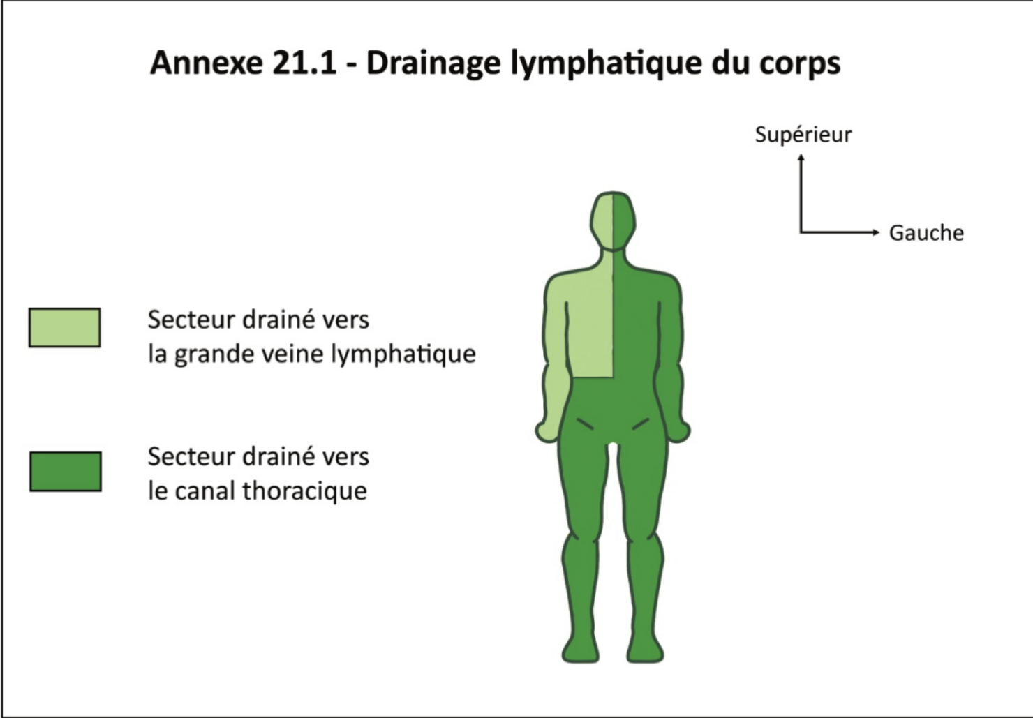 Capture d'écran 2025-04-27 122823.png