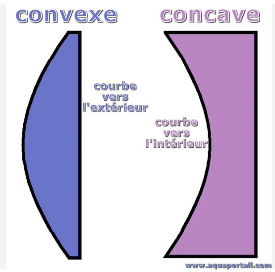 Capture d'écran 2025-04-27 125341.png