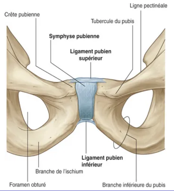 Capture d'écran 2025-04-27 132250.png