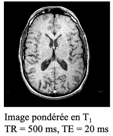 Capture d’écran 2025-10-30 à 18.20.12.png