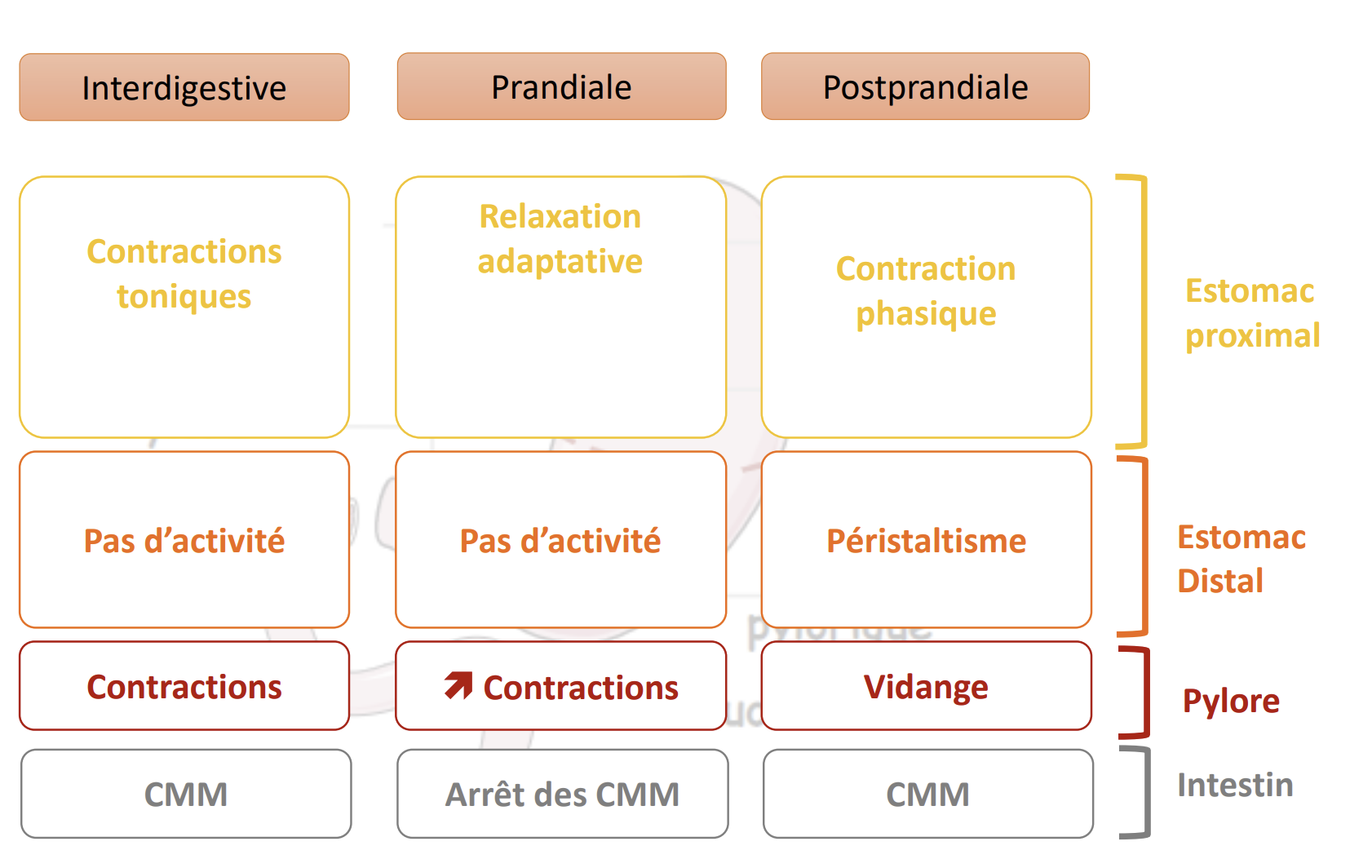 Capture d’écran 2025-11-08 101147.png