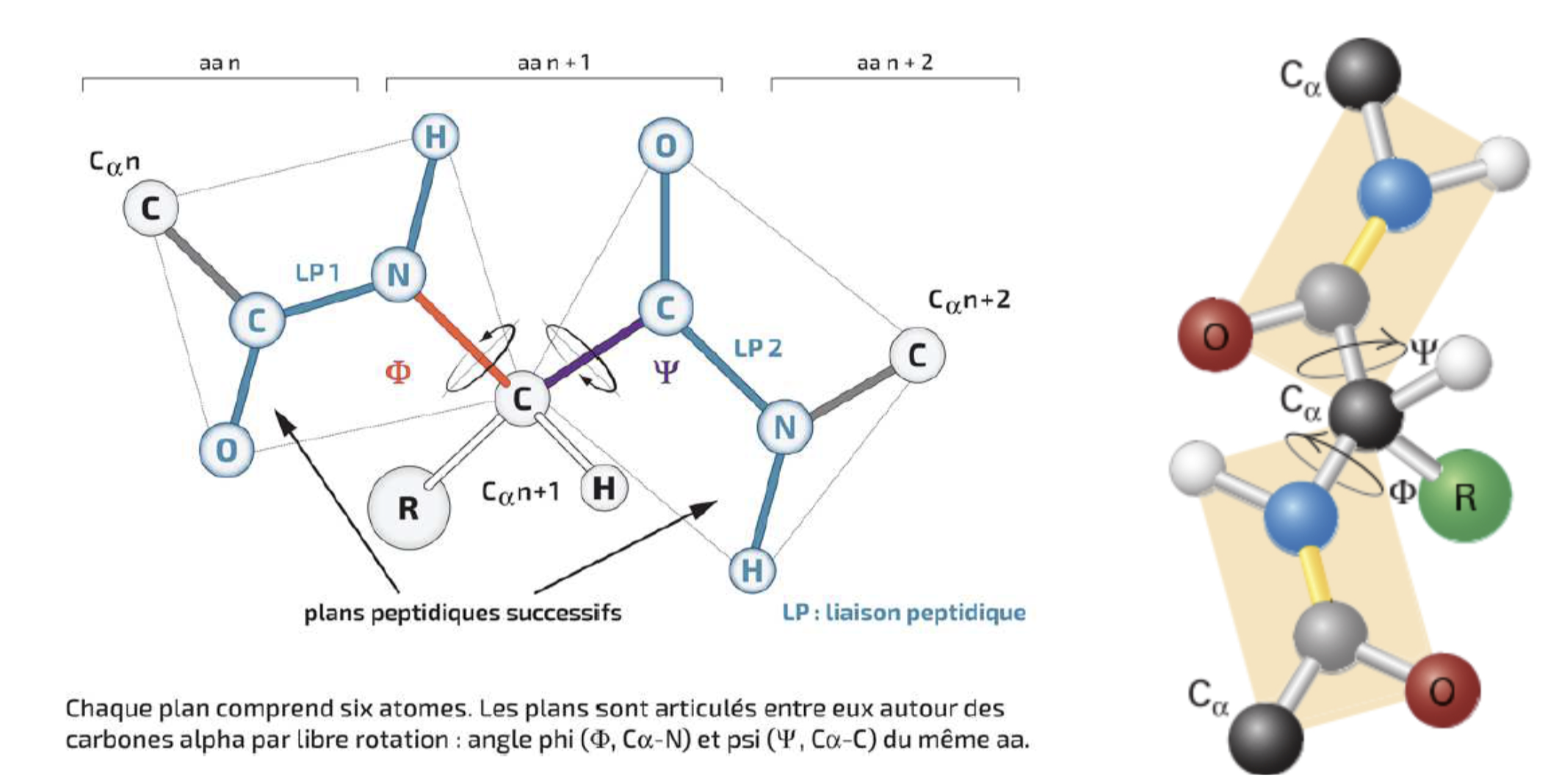 Capture d’écran 2025-11-14 à 09.51.57.png