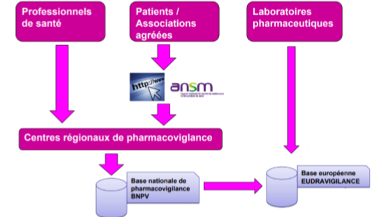 Capture d'écran 2025-11-22 162435.png
