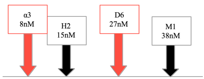 Capture d'écran 2025-12-10 112649.png