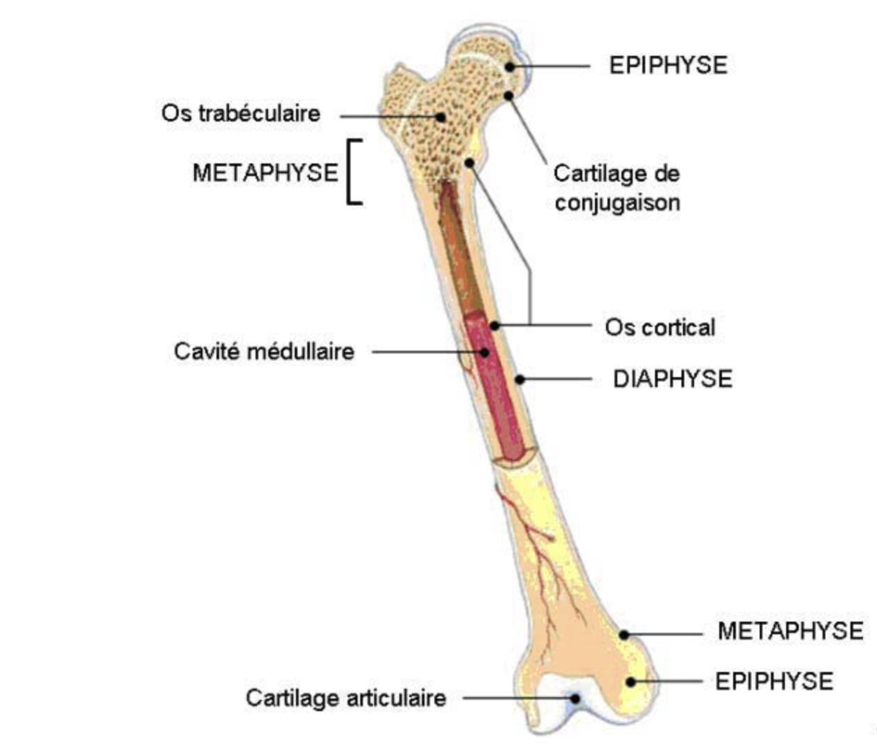 Capture d’écran 2026-02-10 à 10.12.55.png