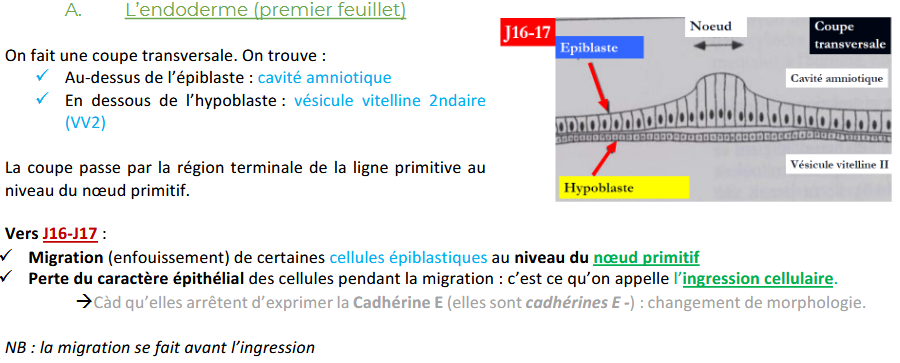 Capture d'écran 2026-02-14 102959.png