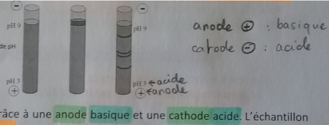 Capture d’écran 2 153424.png