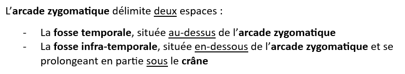 Capture d'écran 2026-02-19 225627.png