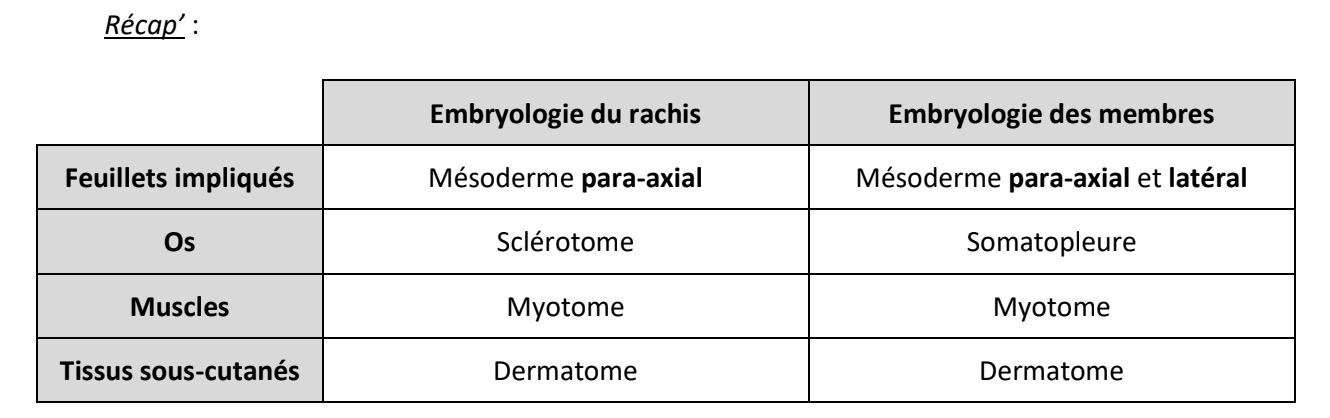 Capture d’écran 2026-02-22 à 11.53.22.png