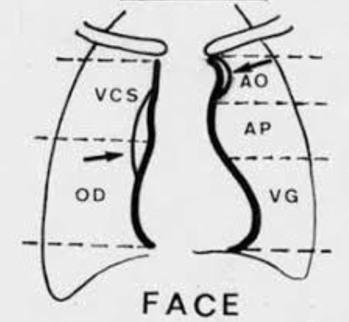 Capture d’écran 2026-03-07 à 21.32.47.png