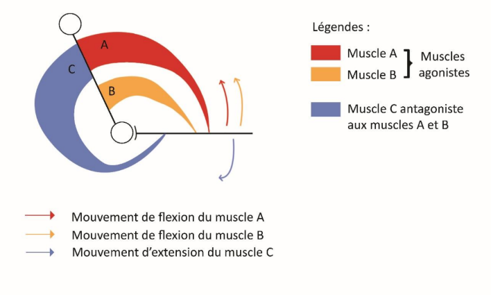 Capture d'écran 2026-03-19 145436.png