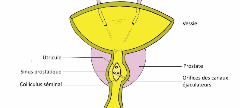 Capture d'écran 2026-03-20 143210.png
