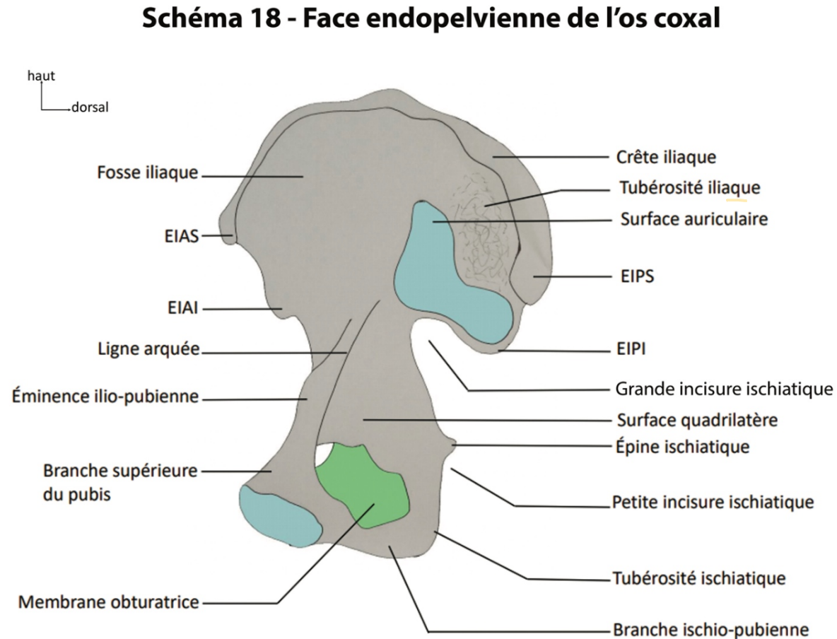 Capture d’écran 2026-03-29 à 15.20.24.png