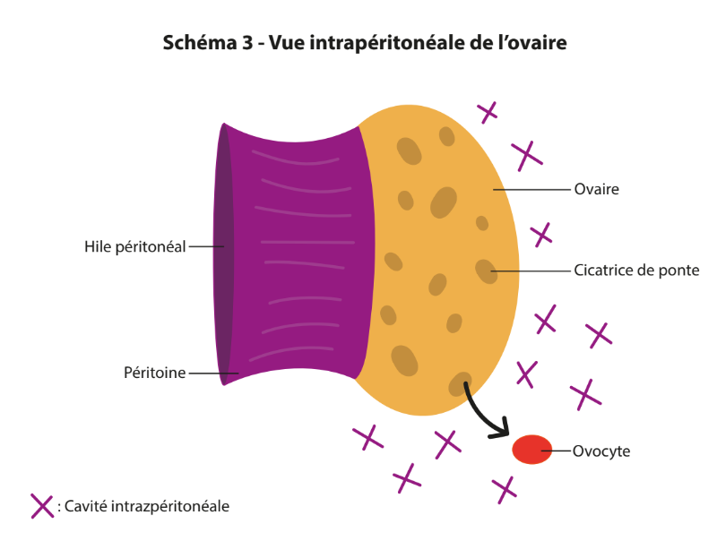 Screenshot 2026-04-09 16.48.09.png