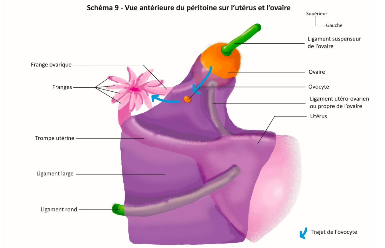 Screenshot 2026-04-09 16.47.36.png