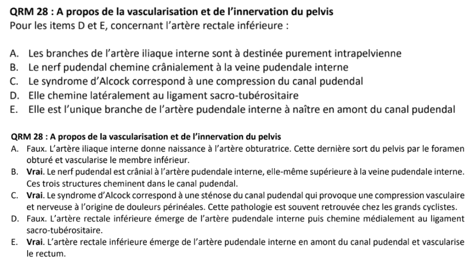 Screenshot 2026-04-12 11.55.01.png