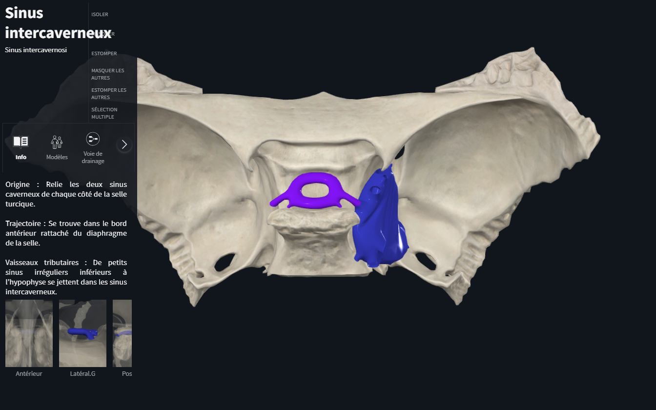 Capture d'écran 2026-04-19 104456.png