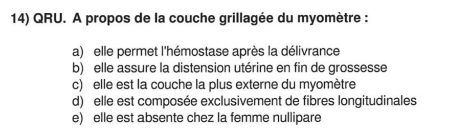 QRM 14 maieu.png