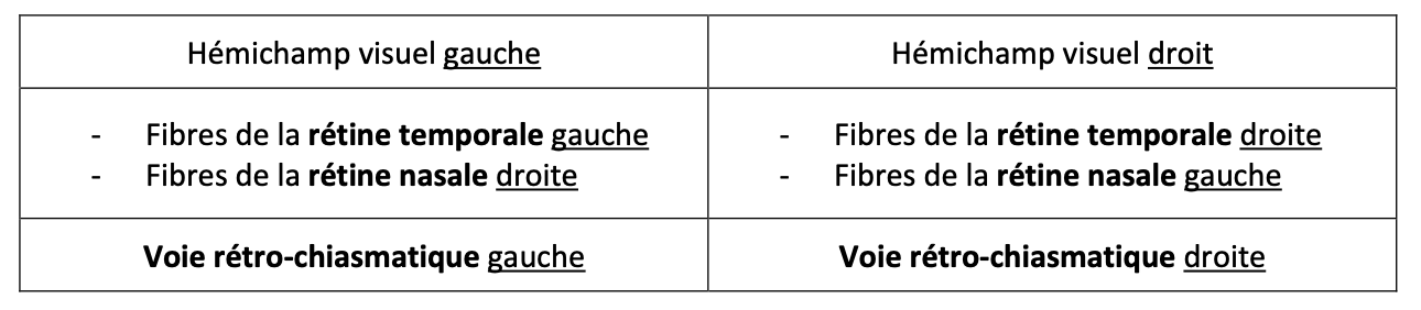 Sans titre.png