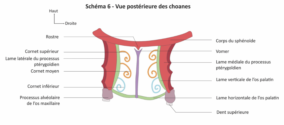 Capture d’écran 2026-04-25 à 16.00.17.png