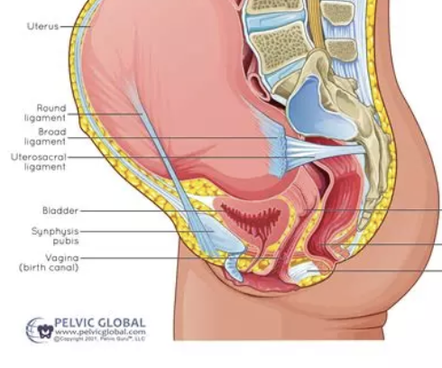 Capture d’écran 2026-04-27 à 10.24.10.png