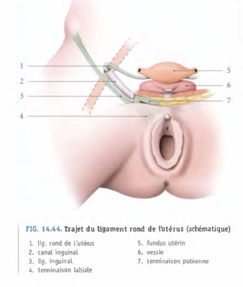 Capture d’écran 2026-04-27 à 10.26.31.png