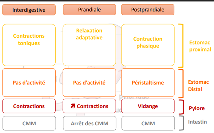 Capture d'écran 2026-09-23 1807178.png