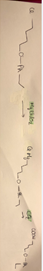 Image2.png