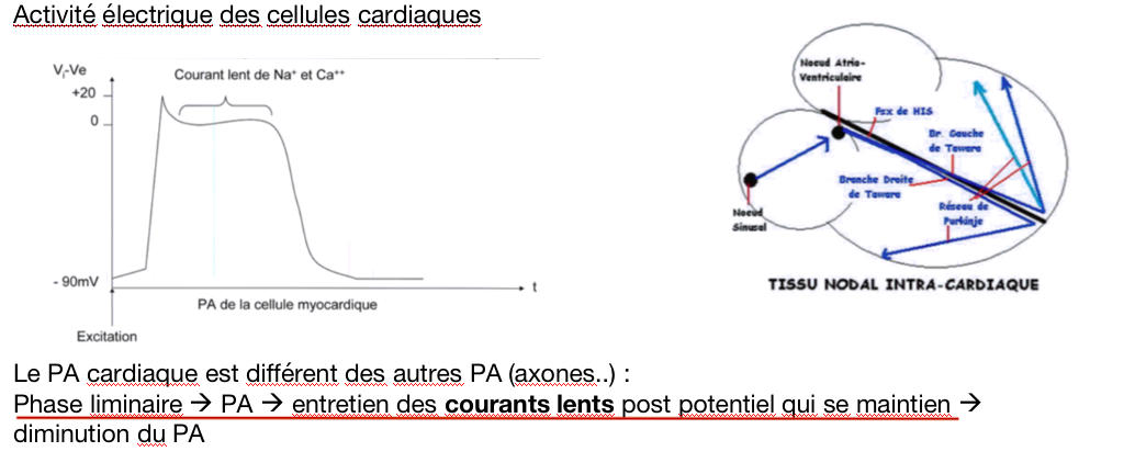 Capture d’écran 2020-11-24 à 10.10.42.png