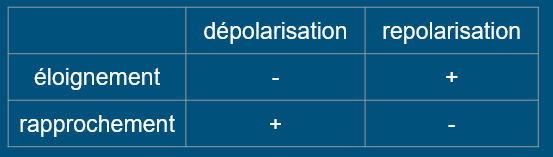 Recap' ondes de dépolarisation et de repolarisation.PNG