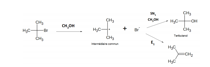 Capture d’écran 2020-11-27 à 09.34.52.png