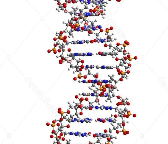 depositphotos_44522741-stock-photo-dna-molecule-3d-illustration.jpg