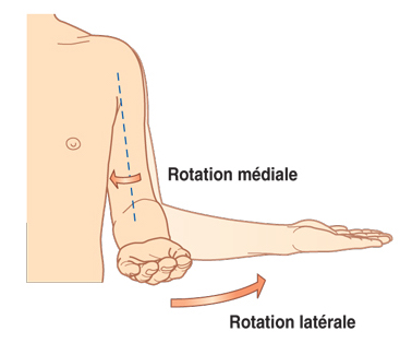 Rotation.jpeg