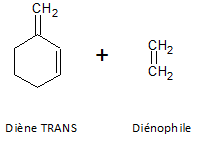diène cycle.png