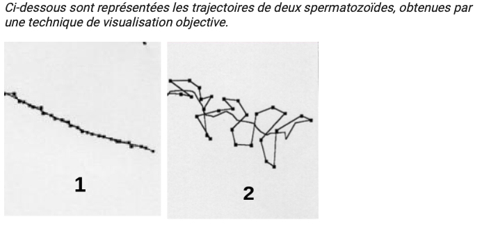 Capture d’écran 2021-02-05 à 11.28.42.png