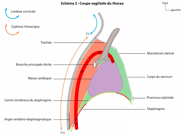 Capture d’écran 2021-02-06 à 18.51.27.png