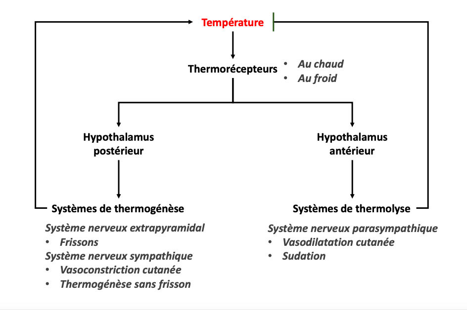 Température.png