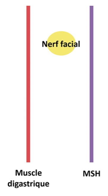 Sans titre.png